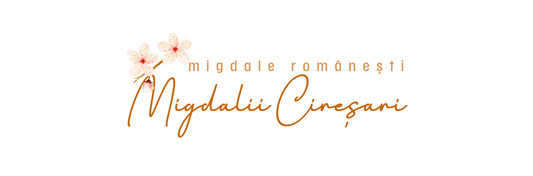 logo livada migdalii ciresari in font elegant de culoare migdalelor si 3 flori de migdal deasupra literelor